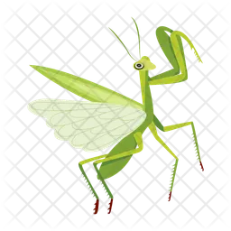 Stick Bug  Icon