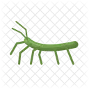 Stick Insect Beetle Animal Icon