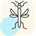 Stick Insect Stickinsect Pet Icon