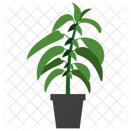 Stinging Nettle Plant  Icon