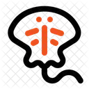 Stingray Fauna Aquarium Icon