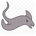 Stingray  Icon