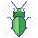 Stink Bug  Icon