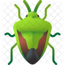 Stinkbug Insect Animal Icon