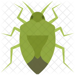 Stinkbug  Icon
