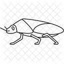 Stinkwanzen Gesicht Haustier Symbol