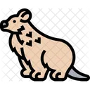 Stoat Mustelid Weasel Icon