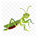 Gottesanbeterin Symbole Susse Gottesanbeterin Mantodea Symbol