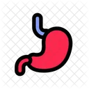Stomach Digestion Gastric Icon