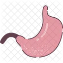 Stomach Organ Human Organs Icon