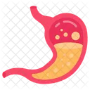 Stomach Digestive System Gastric Juice Icon
