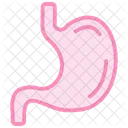 Stomach Duotone Line Icon Icon