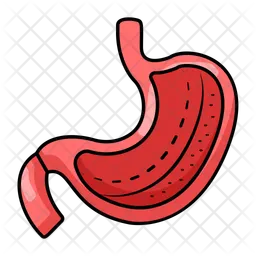 Stomach  Icon