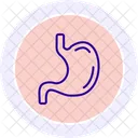 Stomach Line Icon Icon