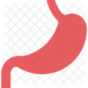 Stomach Human Stomach Organ Icon