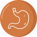 Stomach Icon