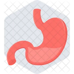 Stomach  Icon