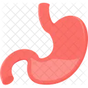 Stomach Body Male Icon