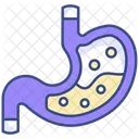Stomach Icon