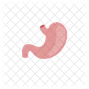 Stomach Health Organ Icon
