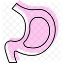 Stomach Medical Healthcare Icon