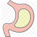 Stomach Medical Healthcare Icon