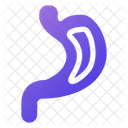 Stomach  Icon