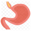Human Stomach Body Part Digestive System Icon