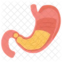 Human Stomach Body Part Digestive System Icon