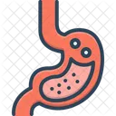 Stomach  Icon