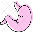 Stomach Icon