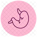 Stomach Icon