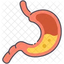 Stomach Human Organ Digestion Icon