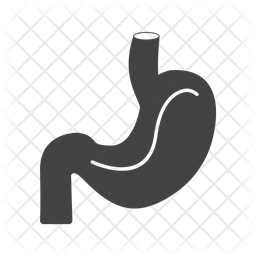 Stomach Icon