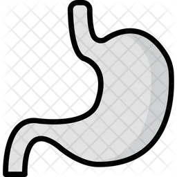 Stomach  Icon