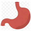 Stomach Organ Body Icon