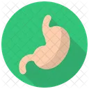 Digestion Gastroenterology Stomach Icon
