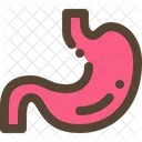 Stomach Medical Human Icon
