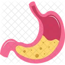 Stomach Digest Body Icon