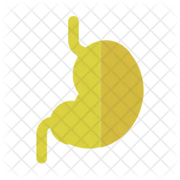 Stomach  Icon