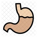 Stomach Disease Digestion Icon