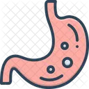 Stomach Gastric Abdomen Icon