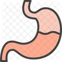 Stomach Digestion Gastroenterology Icon