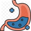 Stomach Organ Health Icon