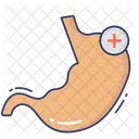 Stomach Body Parts Medical Icon