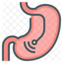 Stomach Organ Endoscopy Icon