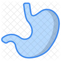 Stomach  Icon