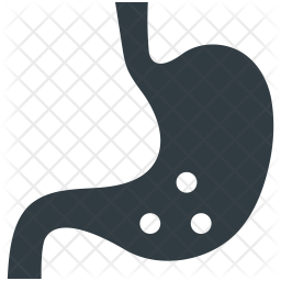 Stomach Icon