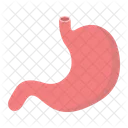 Stomach Human Organ Icon