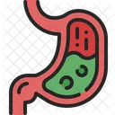 Stomach Digestive Anatomy Icon